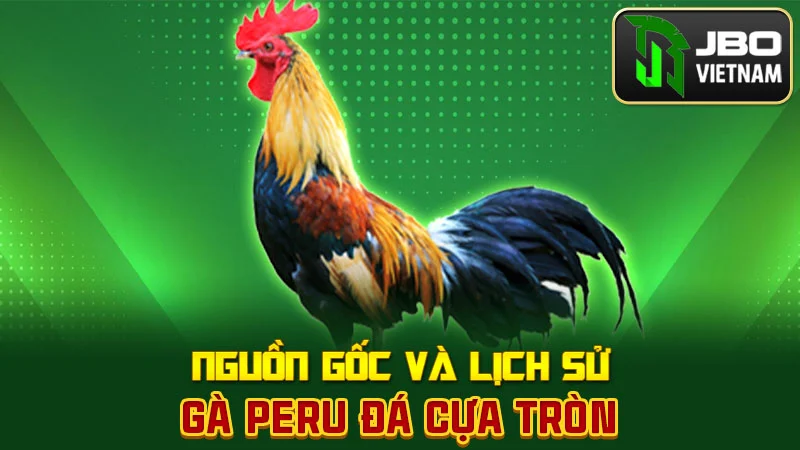 Nguồn gốc và lịch sử gà Peru đá cựa tròn