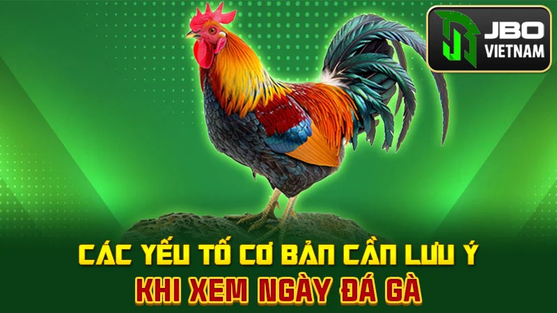 Các yếu tố cơ bản cần lưu ý khi xem ngày đá gà