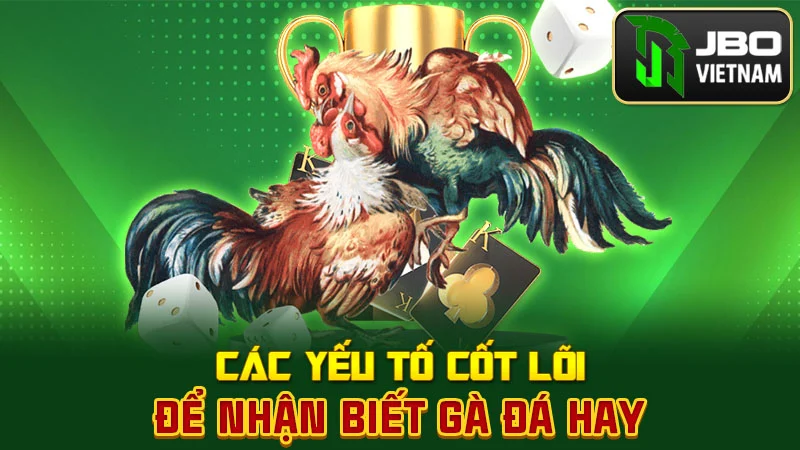 Các yếu tố cốt lõi để nhận biết gà đá hay