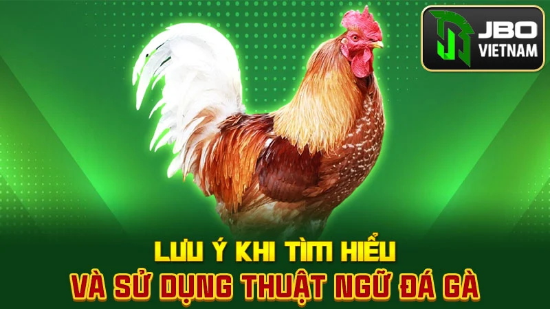 Lưu ý khi tìm hiểu và sử dụng thuật ngữ đá gà