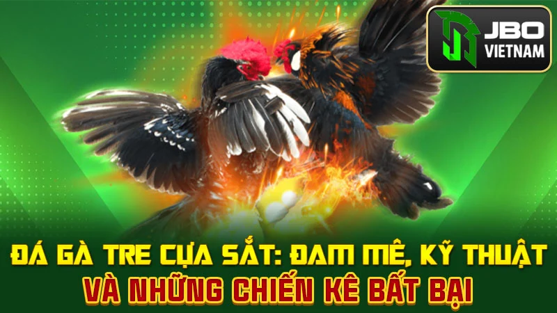 Đá Gà Tre Cựa Sắt: Đam Mê, Kỹ Thuật và Những Chiến Kê Bất Bại