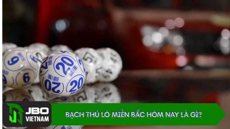Bach-thu-lo-mien-bac-hom-nay-la-gi Bạch thủ lô miền Bắc hôm nay là gì?
