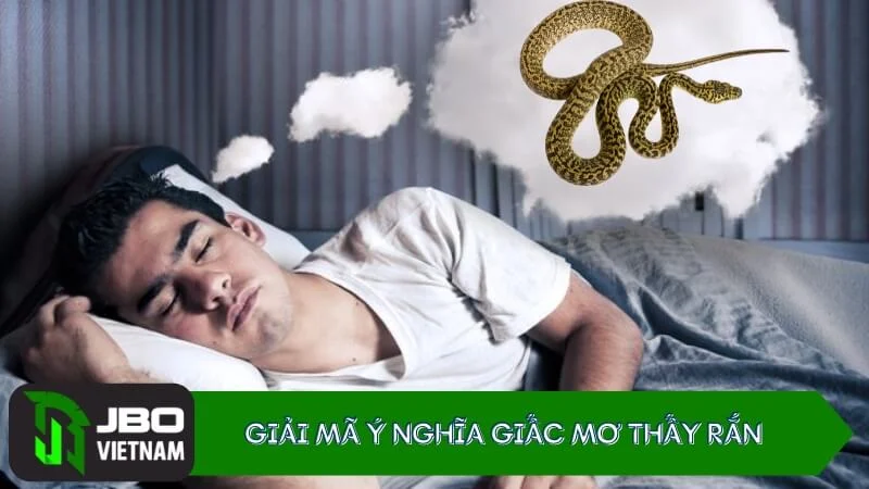 Giai-ma-giac-mo-nam-mo-thay-ran Giải mã ý nghĩa giấc mơ thấy rắn