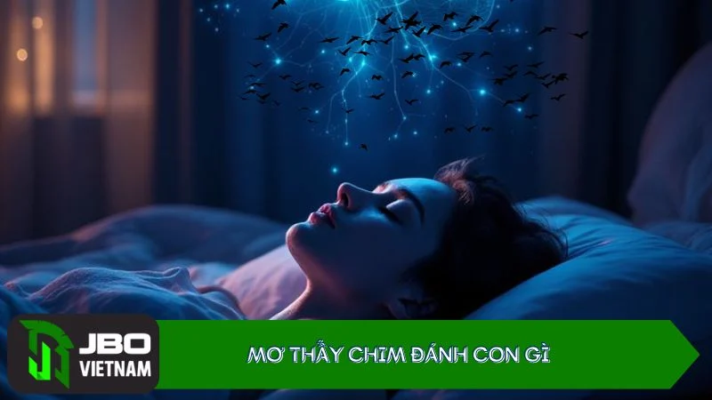 Mo-thay-chim-danh-con-gi