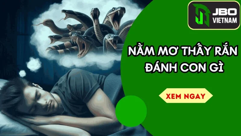 Nằm mơ thấy rắn đánh con gì – Giải mã bí ẩn và các con số đề phù hợp nhất 2025