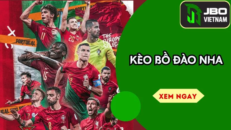 Dự Đoán Kèo Bồ Đào Nha – Phong Độ, Tỷ Lệ, Gợi Ý Cửa Ăn Cao Nhất