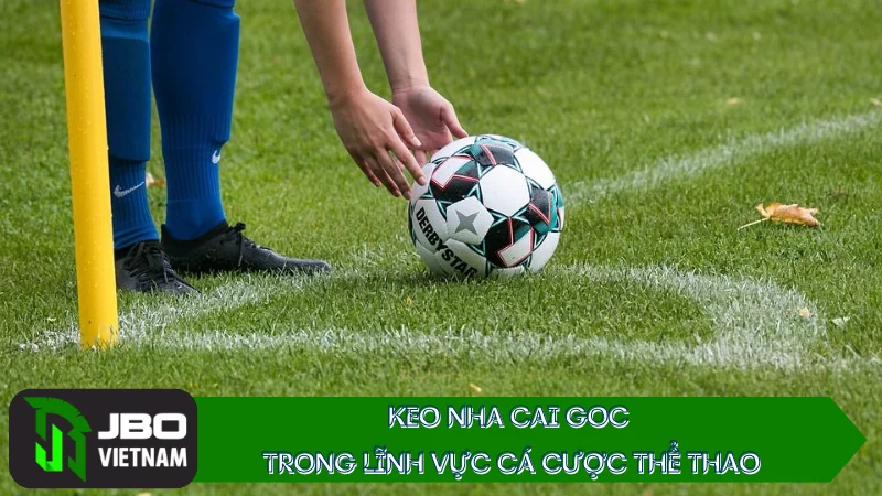 Keo nha cai goc trong lĩnh vực cá cược thể thao